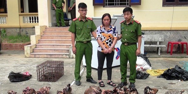 bat giu doi tuong van chuyen trai phep dong vat hoang da