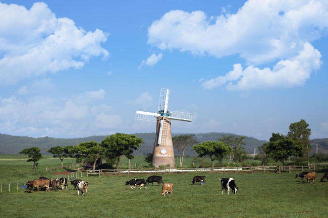 vinamilk giai bai toan tang truong di doi phat trien ben vung cho he thong trang trai bo sua