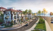 Khám phá sắc xanh tại Mallorca - Sun Grand City Feria