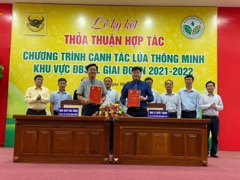 Bình Điền ký kết hợp tác với Khuyến nông Quốc gia về canh tác lúa thông minh