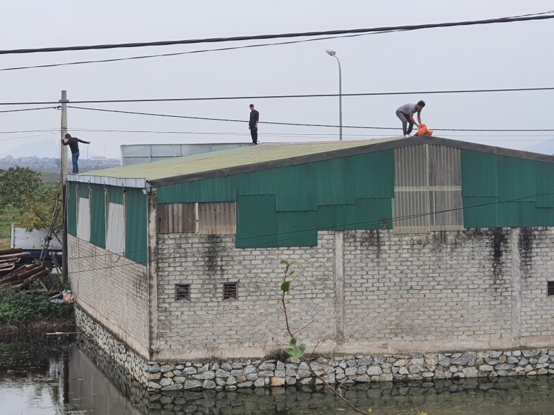 Tin nhanh - Sức gió bão số 13 giật mạnh, Hà Tĩnh căng mình đối phó (Hình 3).