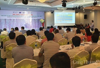 Thúc đẩy gỗ hợp pháp trong ngành cao su hướng đến xuất khẩu bền vững