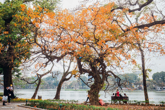 Hà Nội lần thứ ba thắng giải Điểm đến cho kỳ nghỉ ngắn ngày hàng đầu thế giới. Ảnh: Tùng Đinh