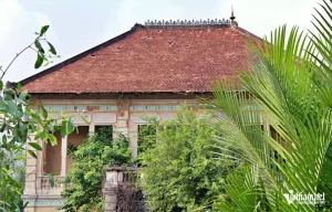Biệt thự ẩn mình hơn 100 năm tuổi bị bỏ hoang ở Long An: Dấu tích huy hoàng của nhị phú hào đất Cần Giuộc 1 66