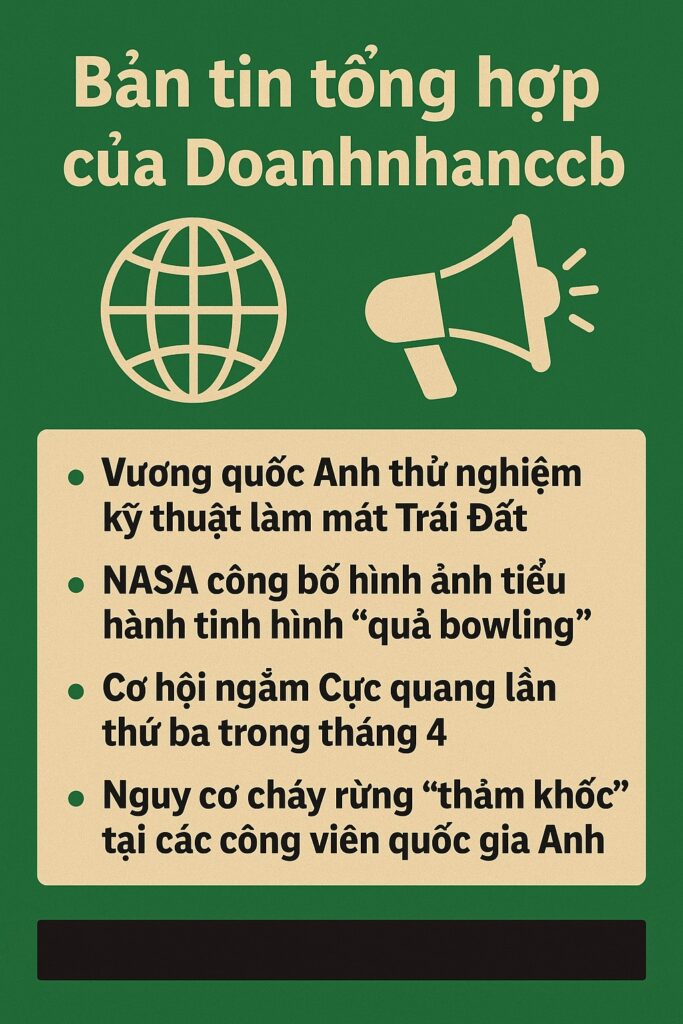 dai dien
