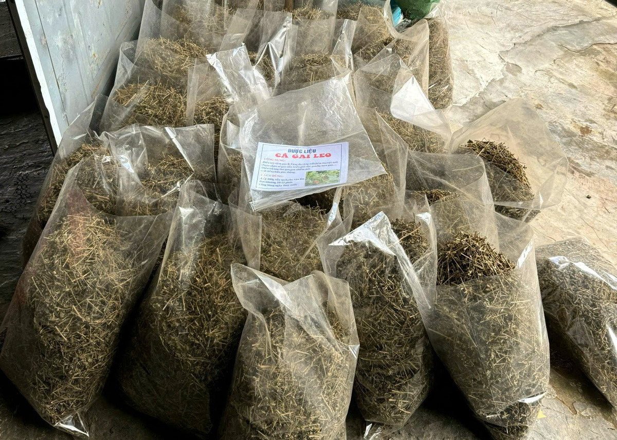 Thủ đoạn của 'ông trùm' bán thuốc hỗ trợ sinh lý giả, thu lợi 20 tỷ đồng 2 225