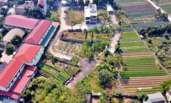 Trường hợp nào được cấp sổ đỏ cho đất không giấy tờ từ thời ông bà để lại? 1 309