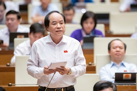 Đại biểu Quốc hội tha thiết đề nghị giữ chức danh Chủ tịch Hội người cao tuổi cấp xã 1 IMG 4441
