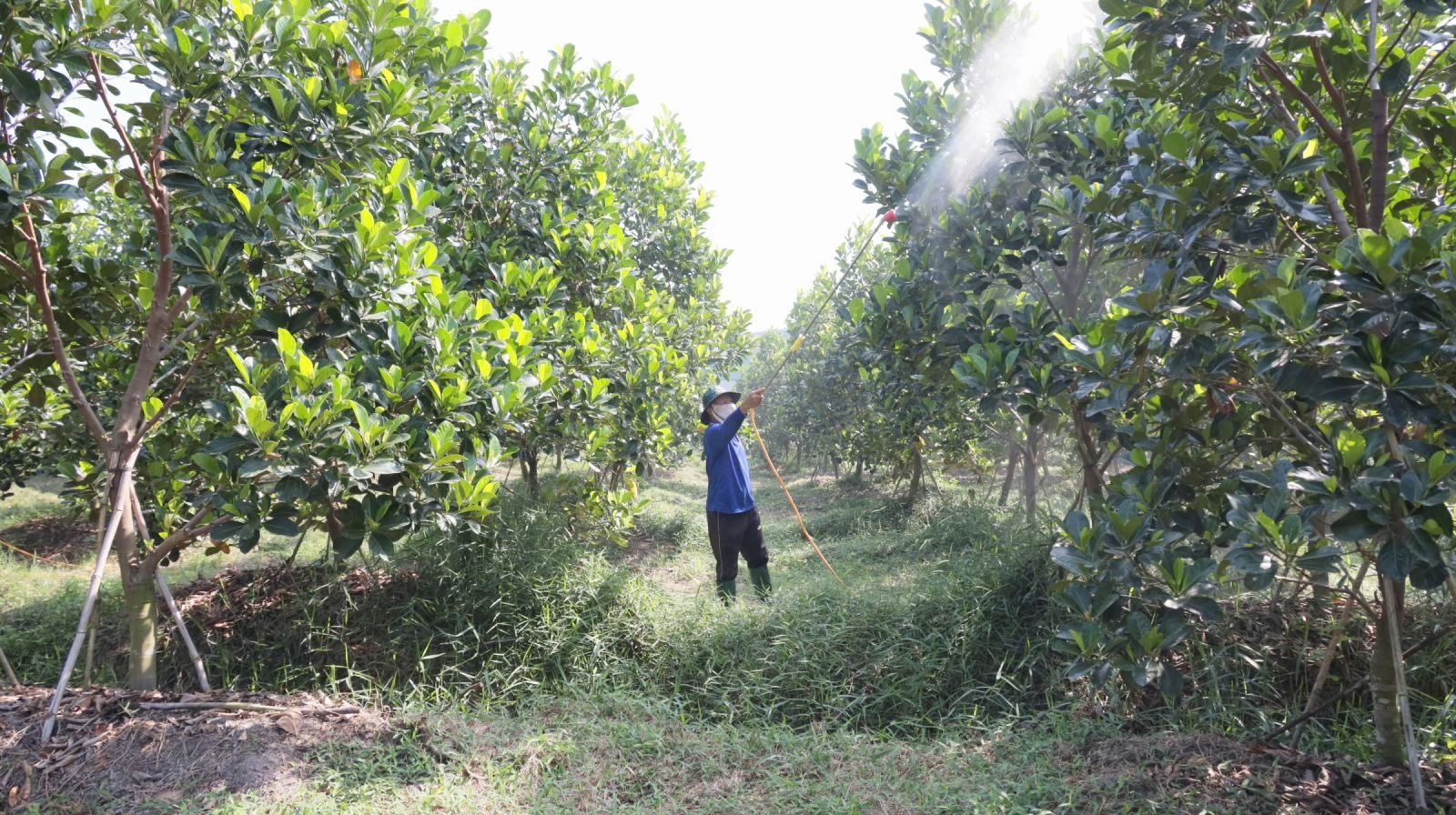 Trước khi sáp nhập với Tây Ninh, lãnh đạo tỉnh Long An sang Trung Quốc tìm kiếm cơ hội đầu tư, xuất khẩu nông sản 4 IMG 4701