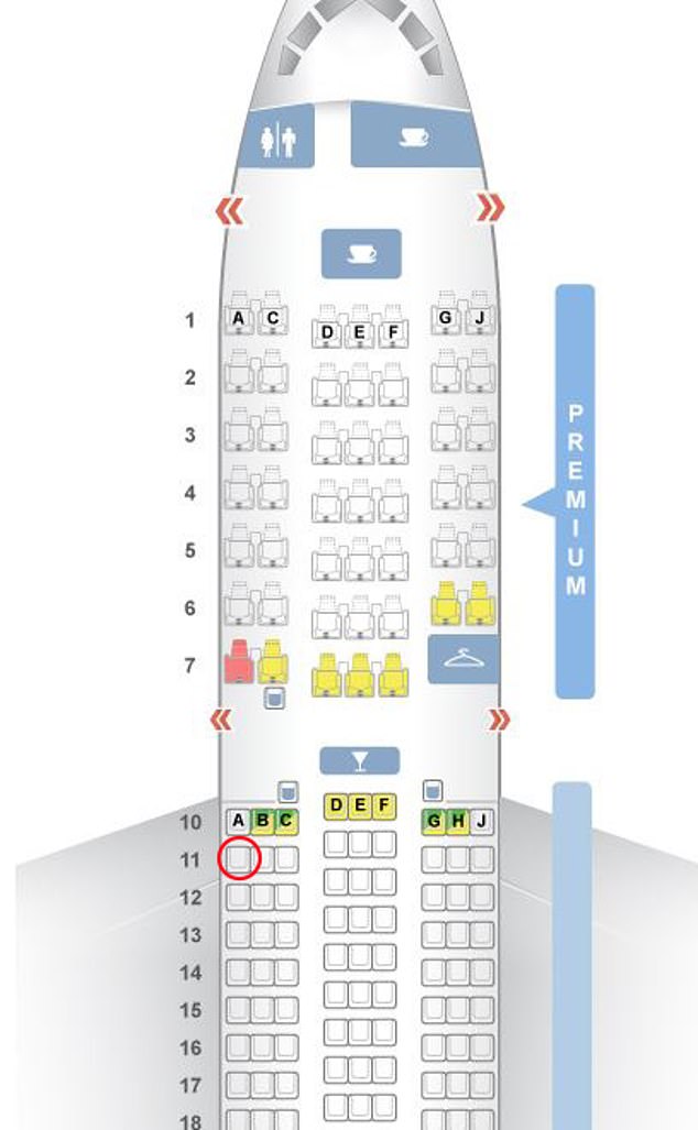 Vụ rơi máy bay Ấn Độ: Hành khách sống sót kỳ diệu kể lại khoảnh khắc kinh hoàng 3 1206 ghe11a