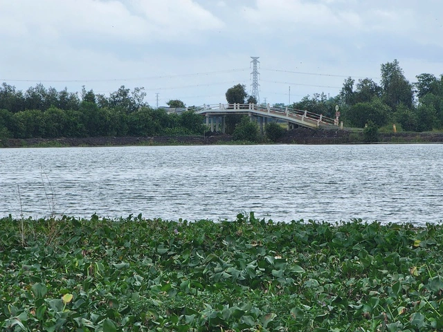 'Tối hậu thư' cho Dự án công viên nghĩa trang Vĩnh Hằng Long An 2 543