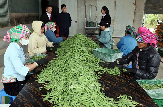 Từ ngày 1/7, nâng mức cho vay đối với cá nhân, hộ kinh doanh không có tài sản đảm bảo 1 chovay