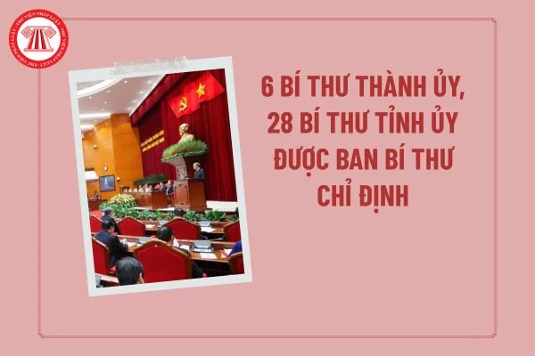 danh sach 6 bi thu thanh uy 28 bi thu tinh uy duoc ban bi thu chi dinh