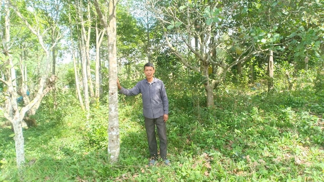 ong dao van sau ben nhung cay do bau trong vuon nha