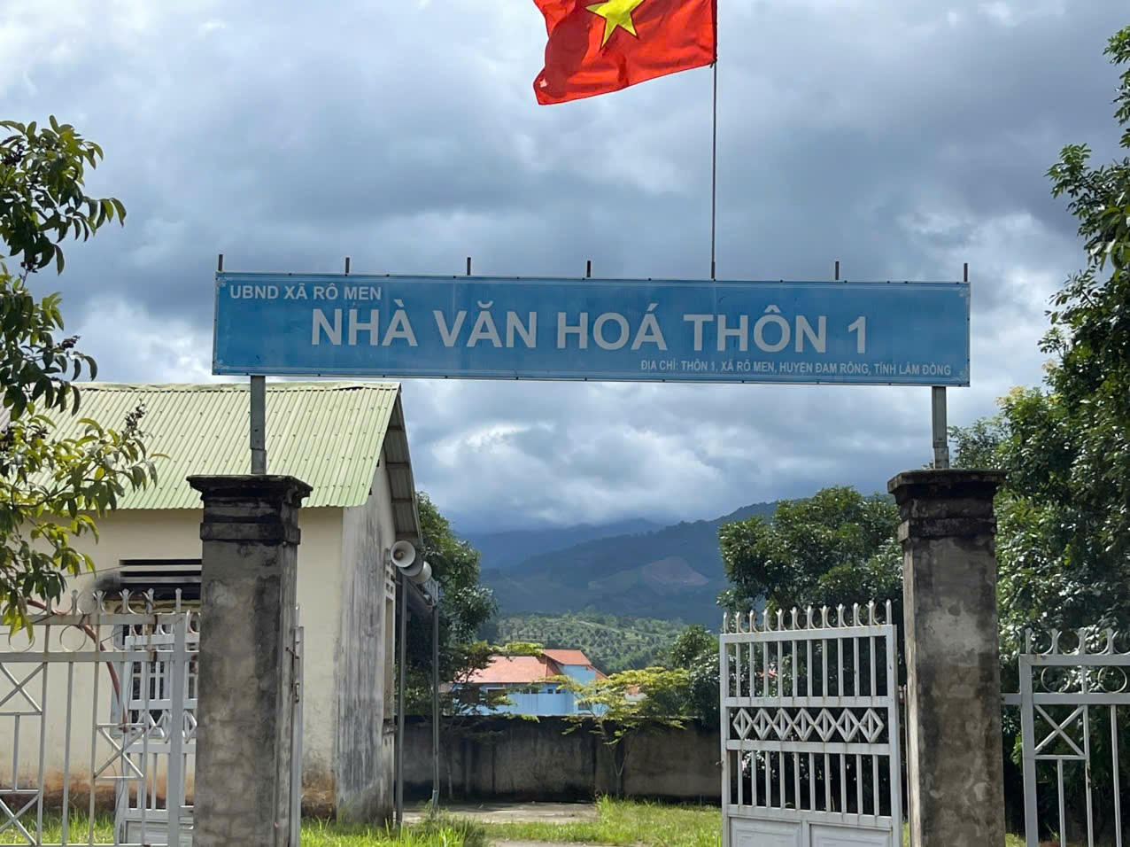 Bông hoa đẹp giữa núi rừng Đam Rông hai 1 ADXDVXDV