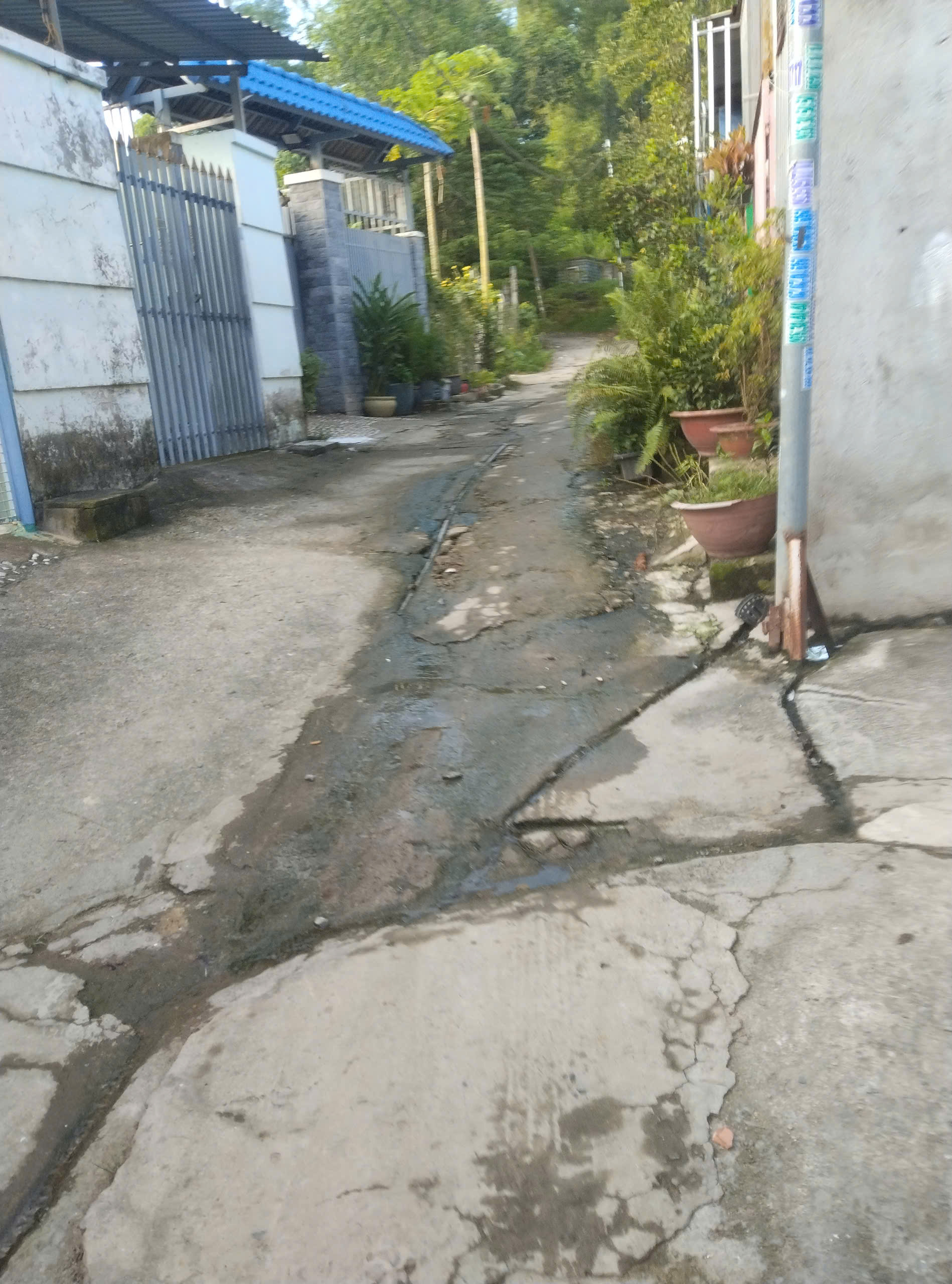 Nước thải xả tràn ra đường gây ô nhiễm môi trường 2 D4