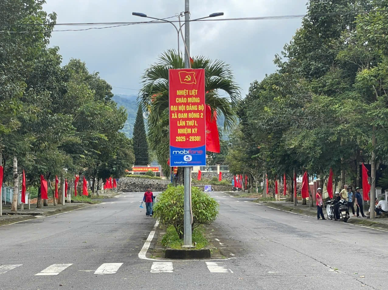 Bông hoa đẹp giữa núi rừng Đam Rông hai 3 DCVZXCV XCVDFV