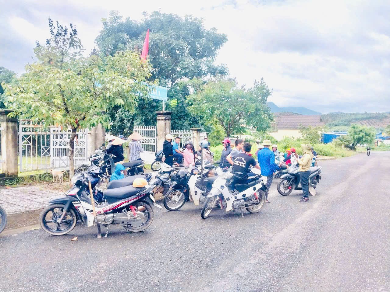 Bông hoa đẹp giữa núi rừng Đam Rông hai 6 ZXDVVXCVB XGB