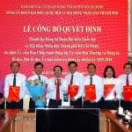 ban chap hanh dang bo doan dbqh hdnd tphcm sydong 17524728846421619170966