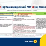 ban so sanh luat doanh nghiep sua doi 2025 va luat doanh nghiep 2020 1 1007161844