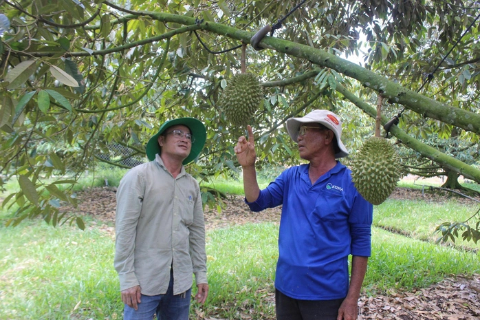 Loạt dự án chiến lược ở Tây Ninh được chấp thuận chủ trương đầu tư 1 tay ninh 1751767551181544136743
