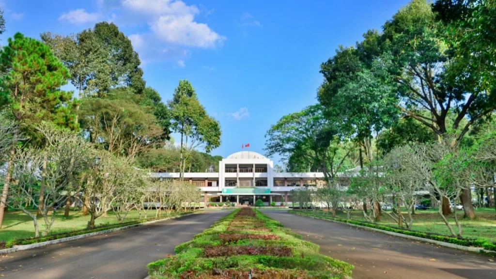 tct cao su dn 0