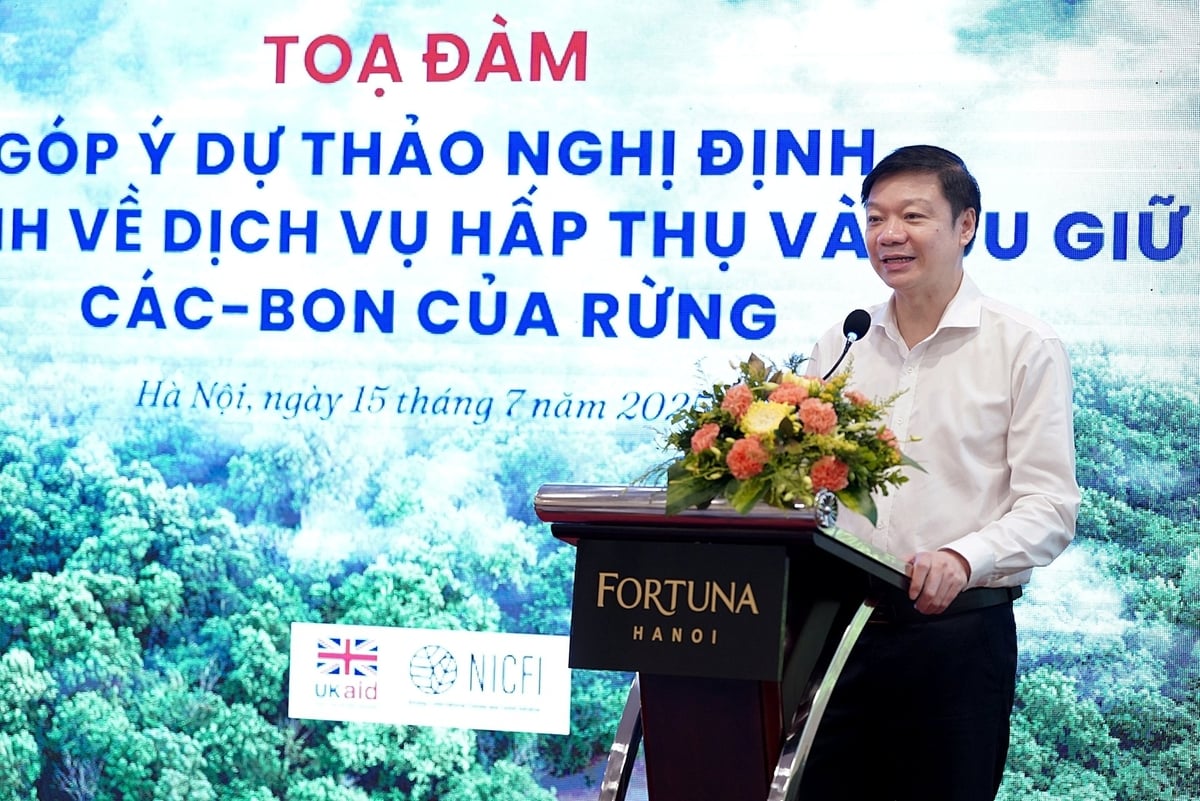 Tín chỉ carbon rừng được giao dịch nội địa, mở đường cho khu vực tư nhân 1 tin chi carbon 102518 781 112921
