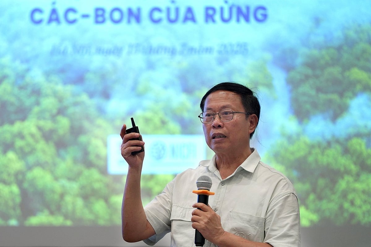 Tín chỉ carbon rừng được giao dịch nội địa, mở đường cho khu vực tư nhân 4 tin chi carbon rung duoc giao dich noi dia mo duong tu nhan tham gia sau 111636 40 112922