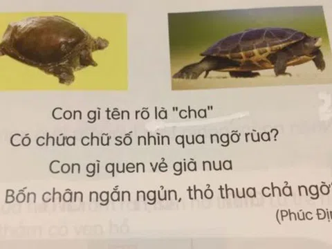 Đại diện Bộ GD&ĐT lên tiếng về sự cố trong sách giáo khoa Tiếng Việt lớp 1 ‘Kết nối tri thức’