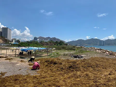 Lãng phí tài nguyên đất đai, Nha Trang kiến nghị xử lý 29 dự án chậm tiến độ