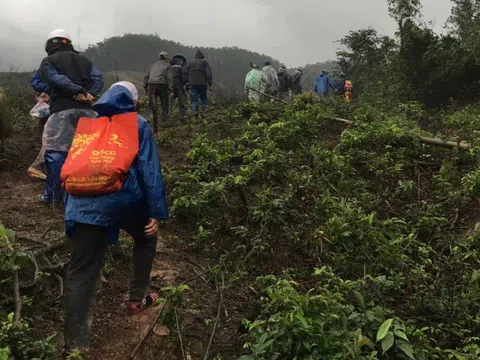 Hàng trăm người băng rừng tìm cụ ông 71 tuổi bị mất tích