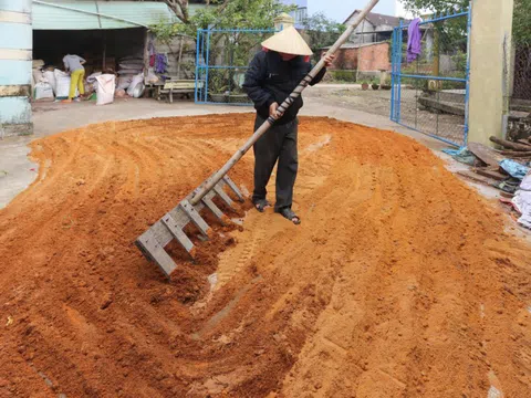 Làng nghề làm hương ở Quảng Nam vào vụ Tết