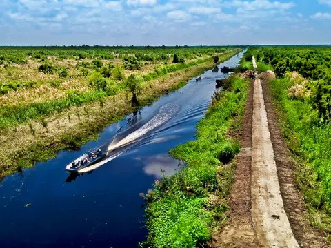 Việt Nam cần bảo tồn sự đa dạng của hệ sinh thái biển đặc trưng (kỳ 2)