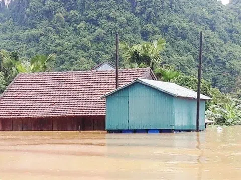 'Rà soát, xây dựng mô hình nhà ở có thể đối phó với tổ hợp thiên tai'