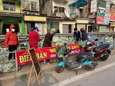 Người Hà Nội giải cứu nông sản cho nông dân Hải Dương: "15 Tấn rau bán trong vài tiếng"