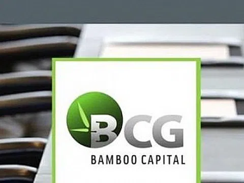 Bamboo Capital xin gia hạn họp đại hội cổ đông 2021