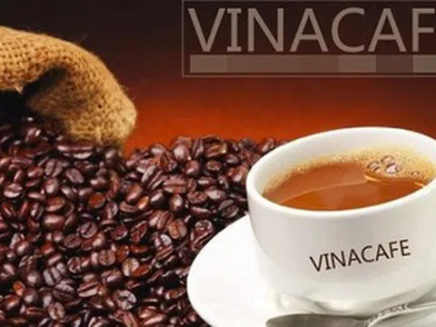 Vinacafe bổ nhiệm Tổng giám đốc mới