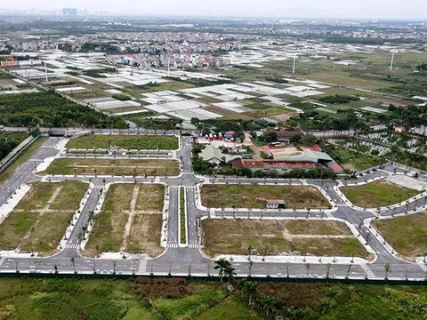 Đất nền vùng ven Hà Nội tăng giá lại, gần 100 lô đất được đem ra đấu giá, có lô giá khởi điểm 75 triệu đồng/m2