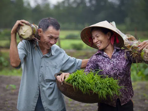 Bình đẳng trong gia đình