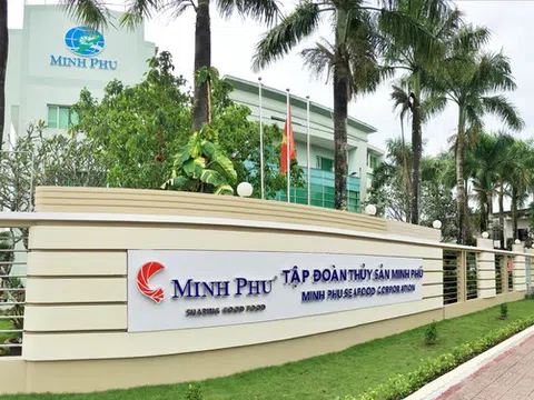 Công ty mẹ Minh Phú (MPC): Lãi 9 tháng giảm 14%, vốn hóa TTCK “bốc hơi” hơn 900 tỷ đồng sau một tháng