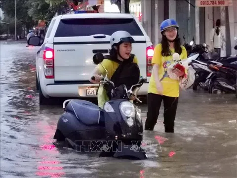 Triều cường tại Cần Thơ bất ngờ vượt báo động III sớm hơn dự báo