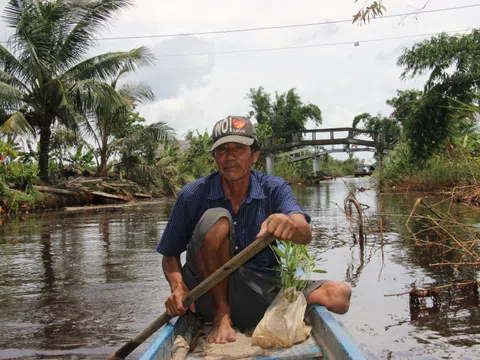 Nghị lực phi thường của cựu chiến binh ở Cà Mau