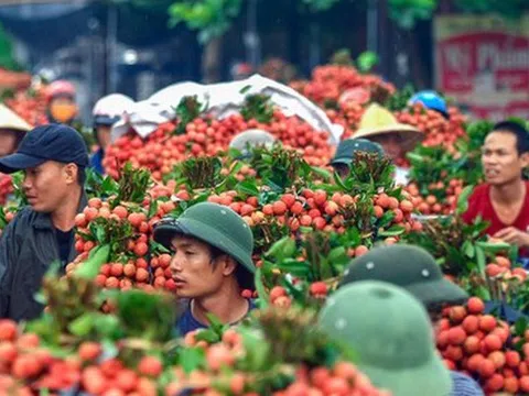 5 nhóm ngành, mặt hàng giúp Việt Nam hưởng lợi nhiều nhất từ RCEP