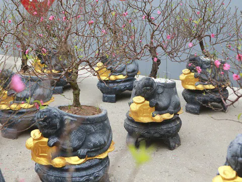 Độc đáo “chuột đá cõng đào bonsai” giá bạc triệu hút khách dịp tết