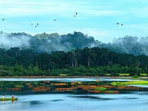 Thiên nhiên hoang dã tại Vườn quốc gia Cát Tiên