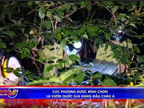 CÚC PHƯƠNG ĐƯỢC BÌNH CHỌN  LÀ VƯỜN QUỐC GIA HÀNG ĐẦU CHÂU Á