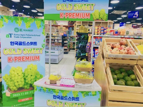 Cùng K-MARKET nếm thử nho mẫu đơn Hàn Quốc với chương trình GOLD SWEET GRAPE.