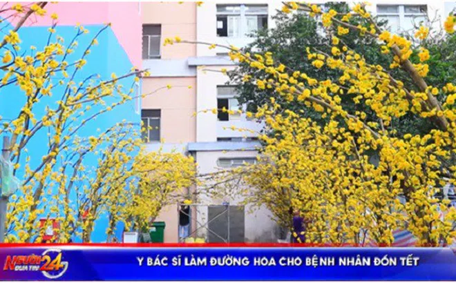 Y bác sĩ làm đường hoa cho bệnh nhân đón Tết