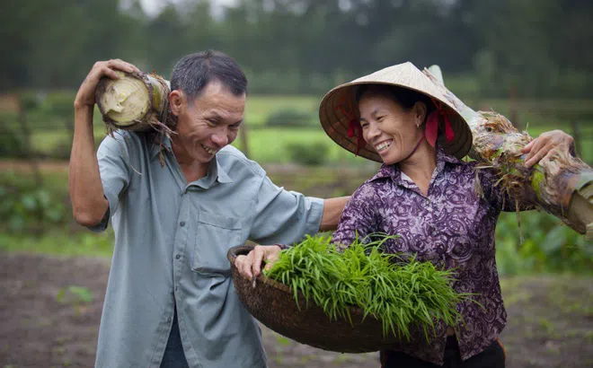 Bình đẳng trong gia đình