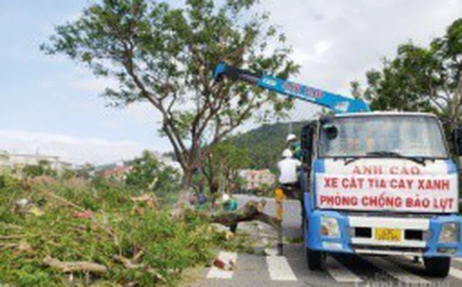 Đà Nẵng: Hoàn thành công tác chuẩn bị, ứng phó với bão số 13 trước 15 giờ ngày 13/11